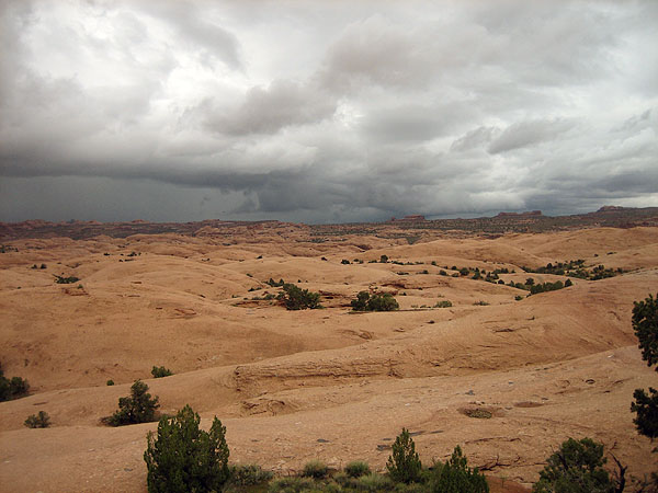 IMG_3111.jpg